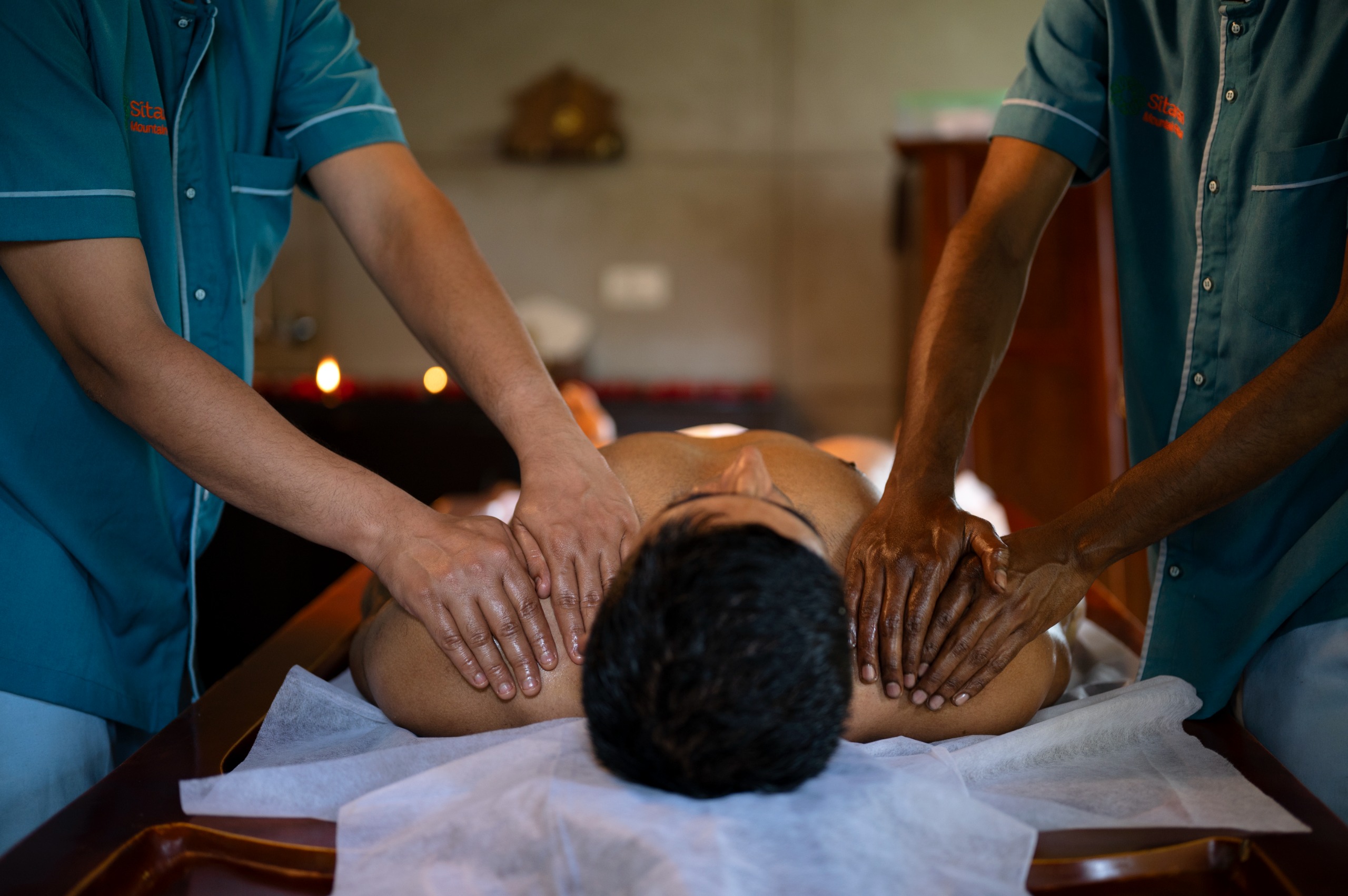 Understanding the Human Body Through Ayurveda